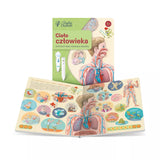 Książka Ciało człowieka 5+