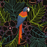 Auzou - Wydrapywanka Rajskie ptaki 5+