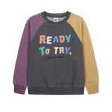 Jelly Mallow - Bluza Ready Color-Block Washed Raglan