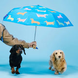 Original Duckhead - Parasolka kaczka, dogs in blue