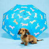 Original Duckhead - Parasolka kaczka, dogs in blue
