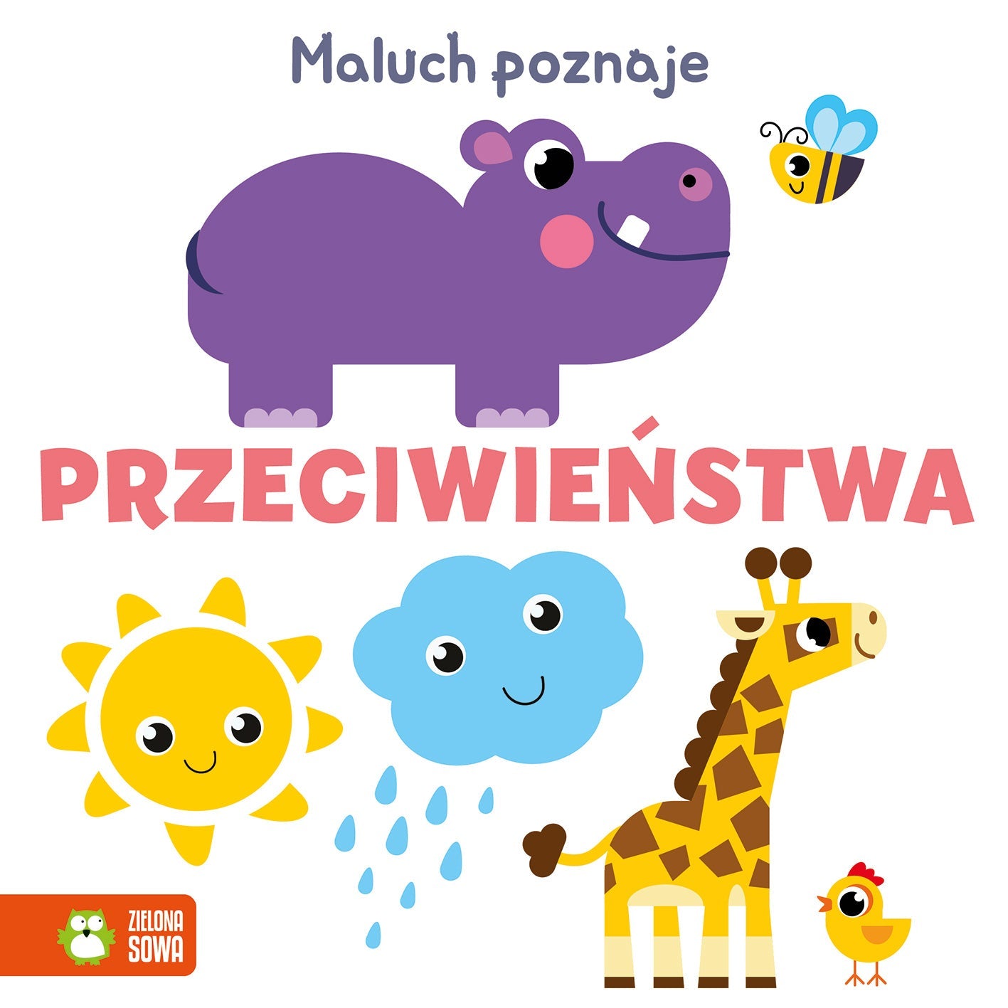 Maluch poznaje. Angielskie słówka