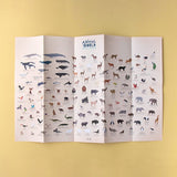 Londji - Arts&Crafts Kreatywne naklejki, zwierzęta świata