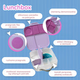 B.Box - Lunchbox, Sugar Plum