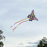Tiger Tribe - Latawiec Motyl