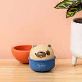 Tiger Tribe - Rocking Rollers, Pies